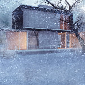 snow