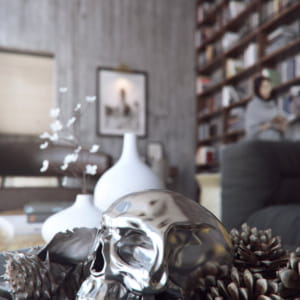 Winter house