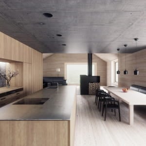 Wood &amp; concrete house