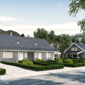 Housing project