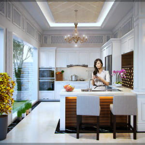 interior classic villa
