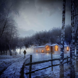 Split House