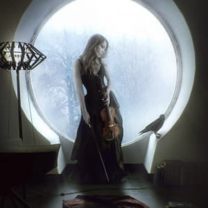 The Window