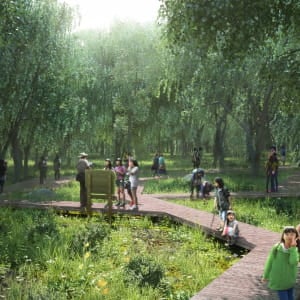 Ecological Experiential Learning_No.1