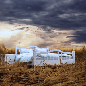 Ein Bett im Kornfeld
