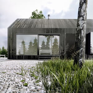 Hg house