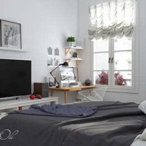 Scandinavia Renovation room