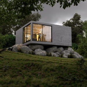 small cabin in the wood
