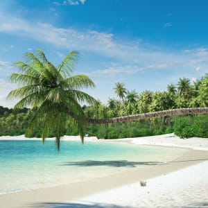 Scenic Palm Beach