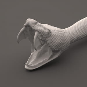 attached meshes with V-ray displacement mod.