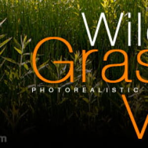 Wild Grass V2 High Res collection from TextureKit