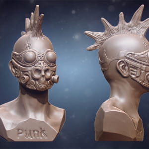 Punk bust