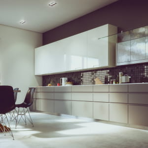 Contemporary kitchen
