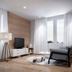 Studio type room