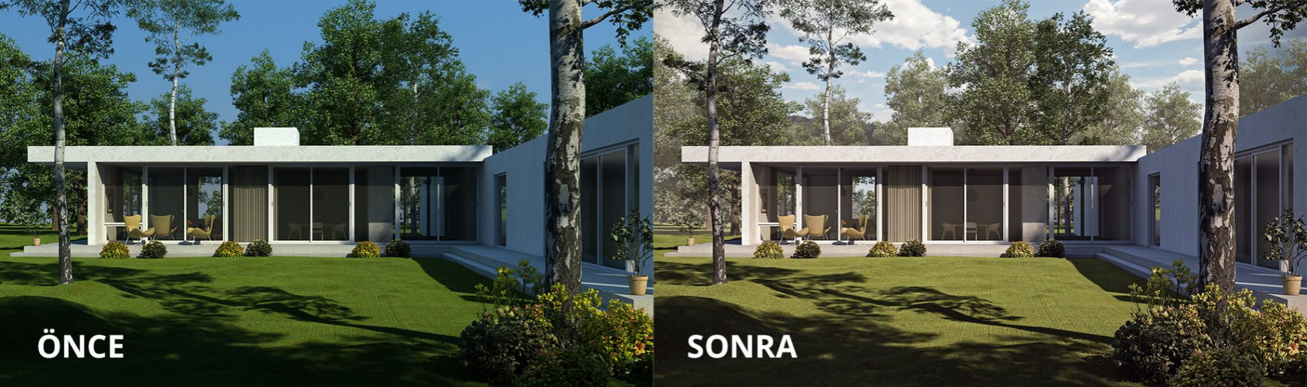 minimalist-forest-house