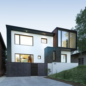 The black and white residence