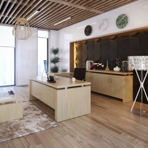 Office work design