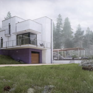 DG House
