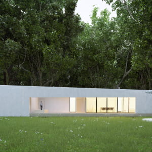 Forest and home