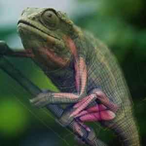 CG Chameleon &amp; mini make of