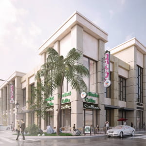 Shopping Center