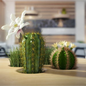 Living Shots-Rendering