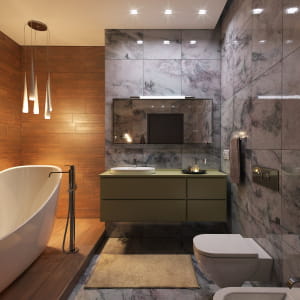 bathroom/corona
