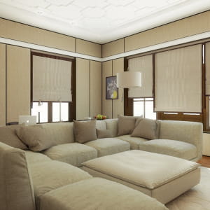 cinema room