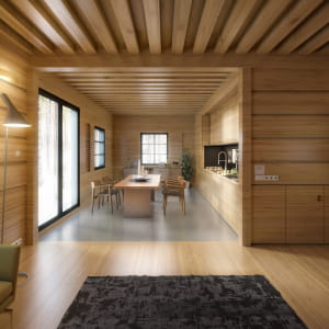 Modern Wooden House