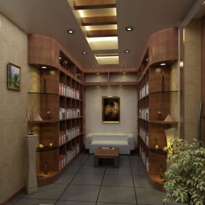 Private Library Office Design