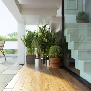 'Dawn of Spring'- Living Spaces