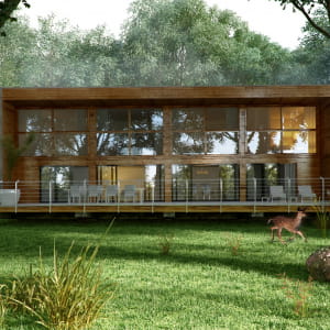 Forest house