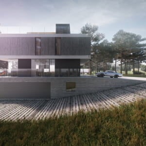 Proyect C forest House