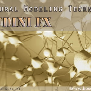 Pecedural modeling Technics in Houdini Fx -commercial training-