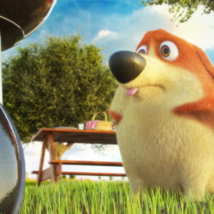 Corgi