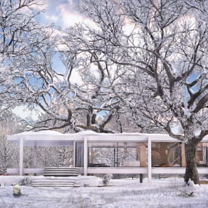 Faraswofth house Winter