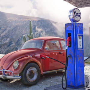 beetle &amp; pumps