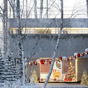 Love on christmas:Warmth of winter