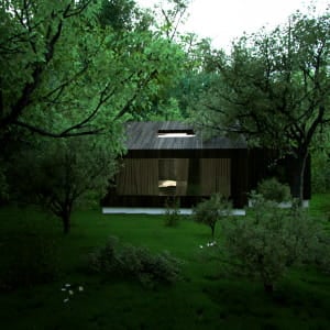 Japan Forest House