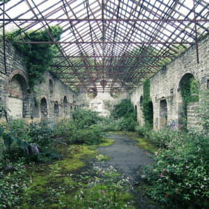 Whola Lotta Loft - The Garden Untamed