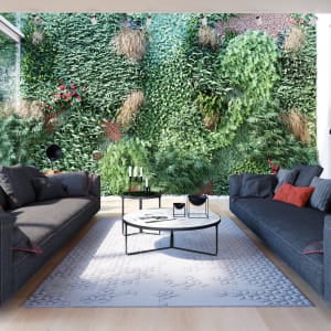 Plant wall