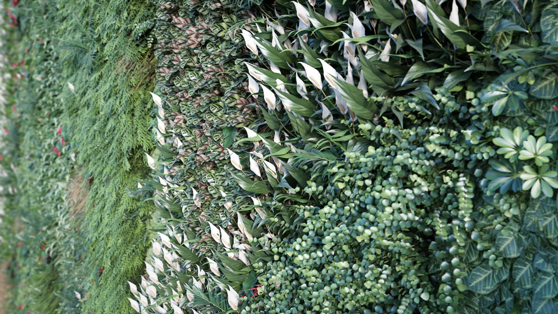 plant-wall