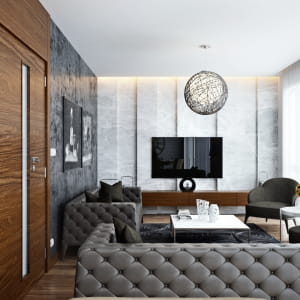 Livingroom and Kitchen