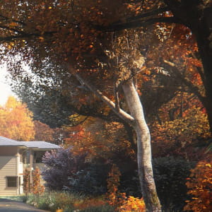Autumn at the lake