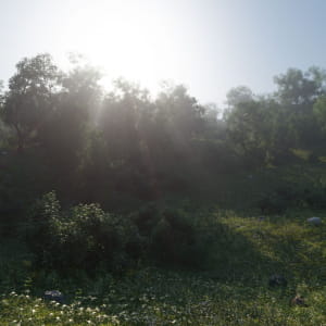 Art project The Shapes of nature (teaser, 3d animation)