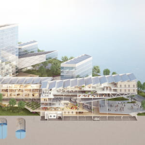 Perspective section