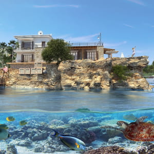 Dream hause