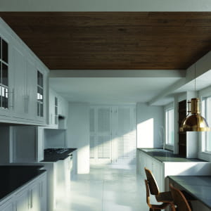 Kitchen Renovation Render