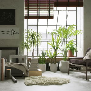 Brooklyn Interior