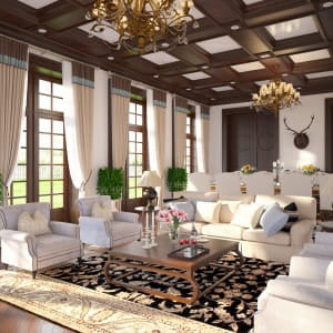 Living room and dining room -  American style